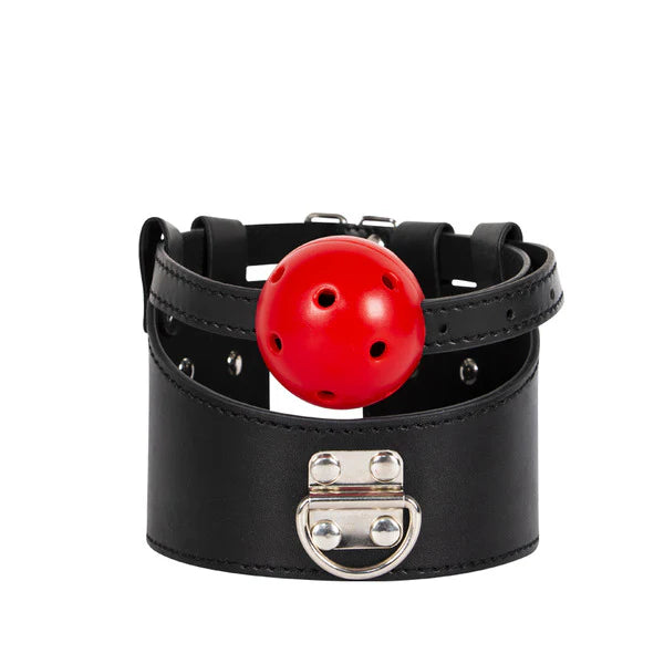 Collar de Dominación con Mordaza